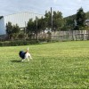 RJ
