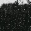 雨的歌