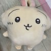 RakishBiao