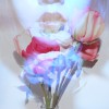 Rene LLL