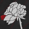 爛漫會社-RomanticSociety