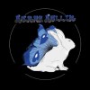 滾動糯米 Rommy Rollin