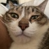 jully6217