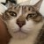 jully6217