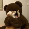 閃閃發光