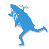 Running Whale 跑鲸乐队