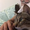 Ryan_wang