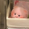 嘻哈蜜瓜