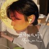 山介