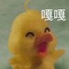 嘎嘎