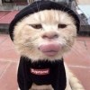 SN