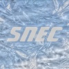 SNEC