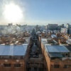 S_rothes