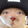 SamChenn