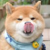 葉師父
