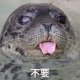 SSK廉羽