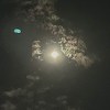 Sfhifttwo0671
