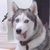 上火天才