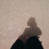 Sheila_H