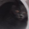Janet