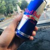 走失的羊