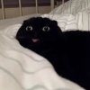 脆皮甜筒