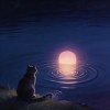 司司猫