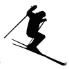 Skier
