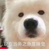 小北