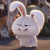 亮亮亮亮亮