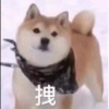 柴柴收割机