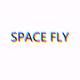 太空蒼蠅 Space Fly