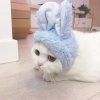 一辰冬
