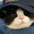 Strawberry_0511
