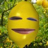 Su