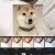 甜狗狗