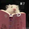 喃音很快樂