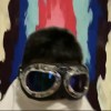 TRIP_ICEE