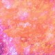 雙生仔Twinkle