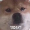T___T