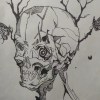 Taboo_Luna