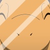 ichibonds