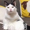 淡水菠萝油