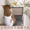 藤田