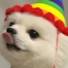 小陈