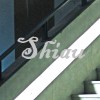 Shiau 蕭