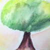 癒創樹 The healing tree