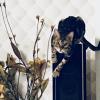 The_PlayCat