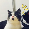 阿铁