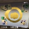 我是老虎?